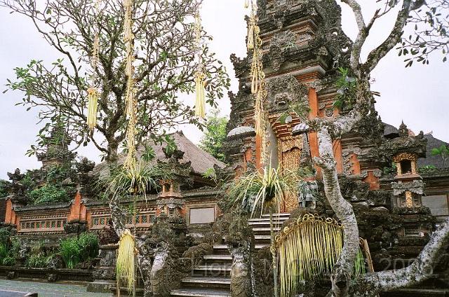 80490036.JPG - UBUD: Lotus café