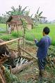 80490001