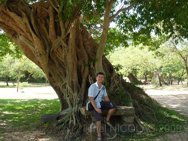 P1000928.JPG - POLONNARUWA: Moi à l'hombre d'un arbre..
