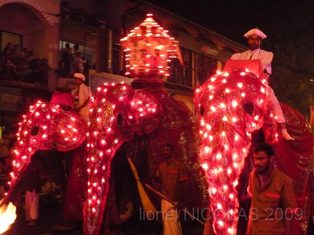 P1010213.JPG - KANDY: La Perahera. Chaque temple a sa propre couleur