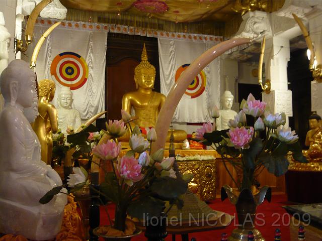 P1010234.JPG - KANDY: Temple de la dent. Cette salle contient des statues de Bouddha offertes au Sri Lanka par d'autres pays.