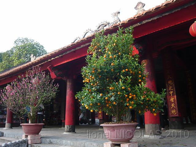 P1020395.JPG - Hanoi: Temple de Conficius
